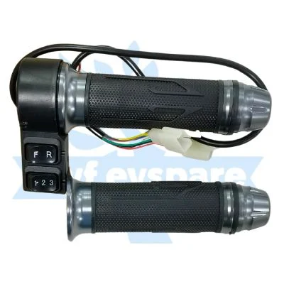 EV Throttles